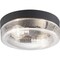 Progress Lighting Weldon Collection Two-Light Flush Mount P550042-031 - alternate 1
